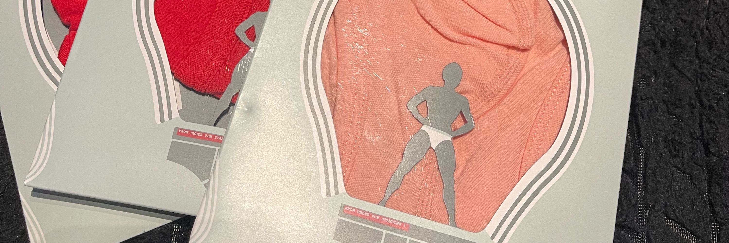 Underwear Connoisseur