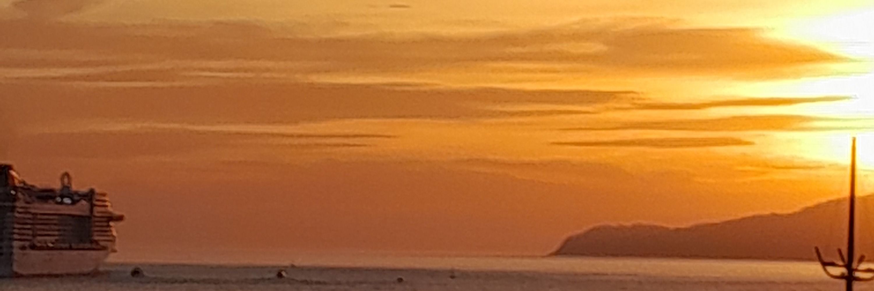 Vida 