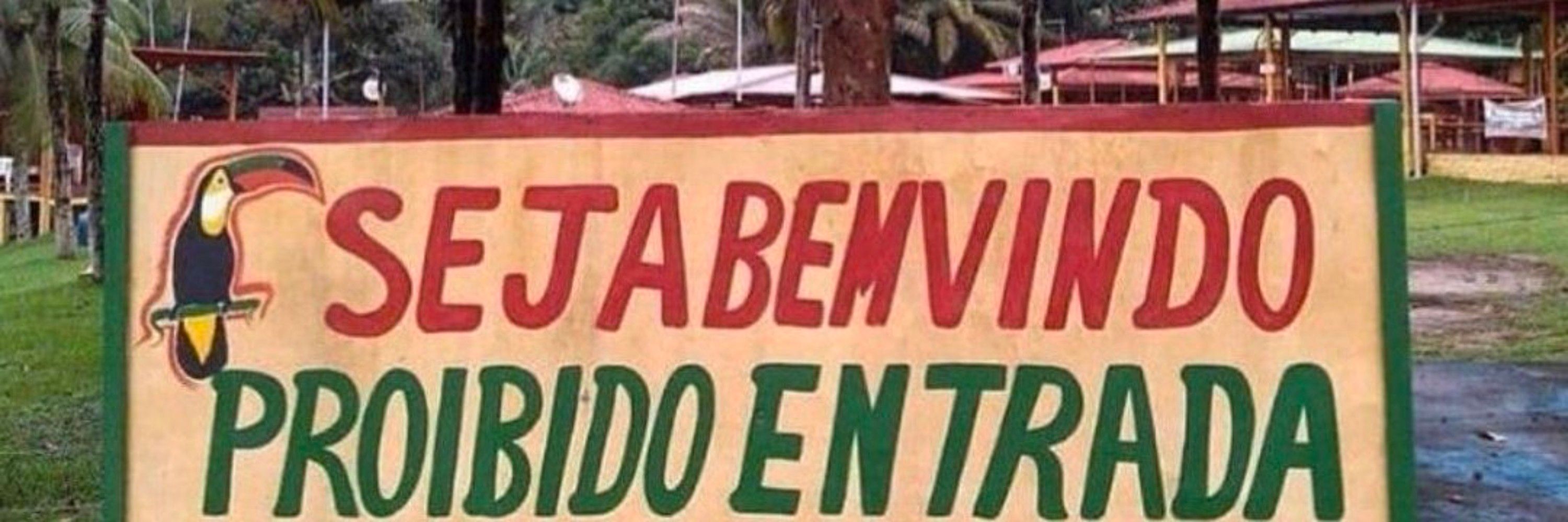 Maria, a gatinha laranja 