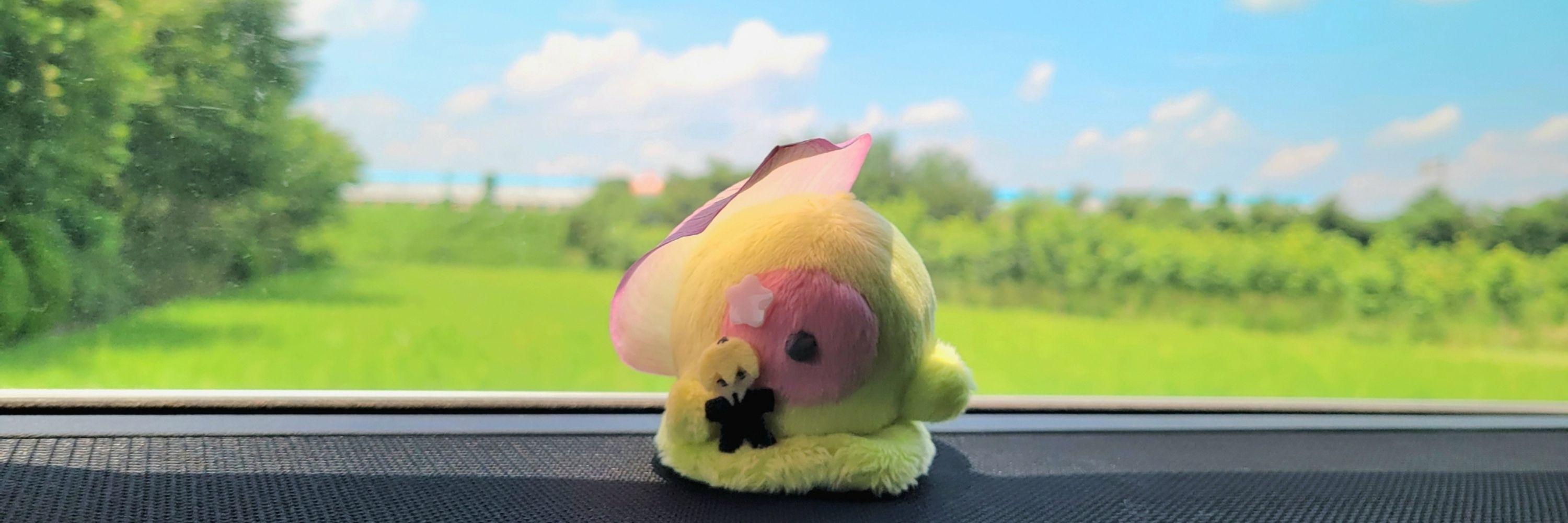 티 T:)