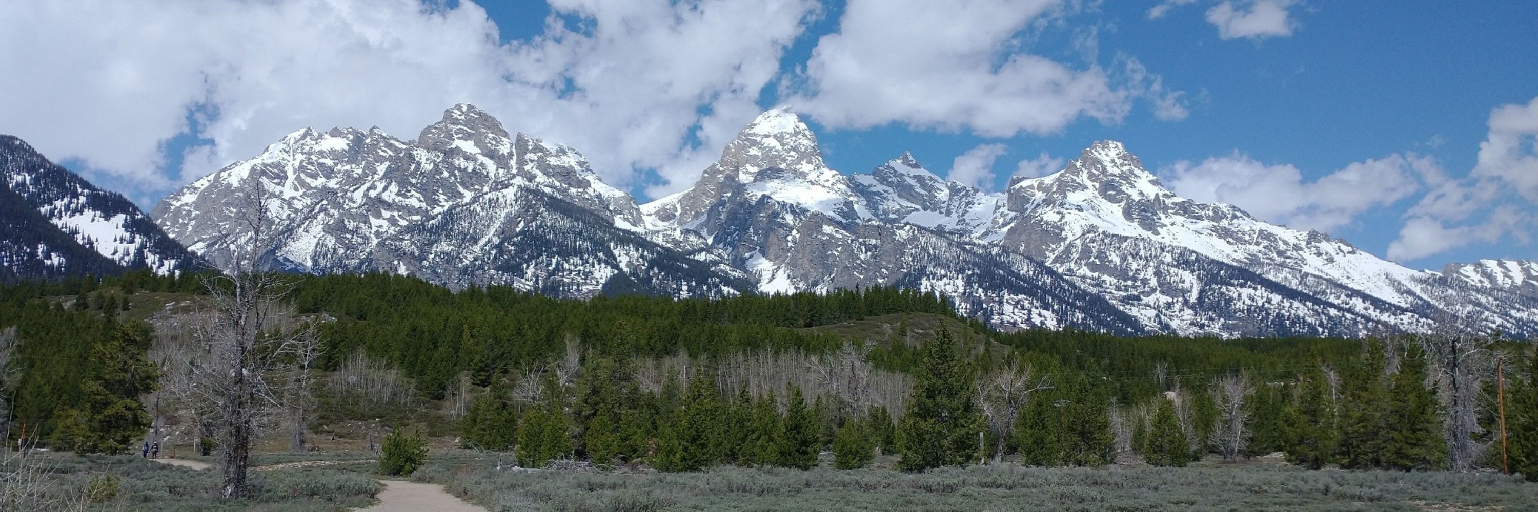 Pup Teton ➡️➡️ IML 2025