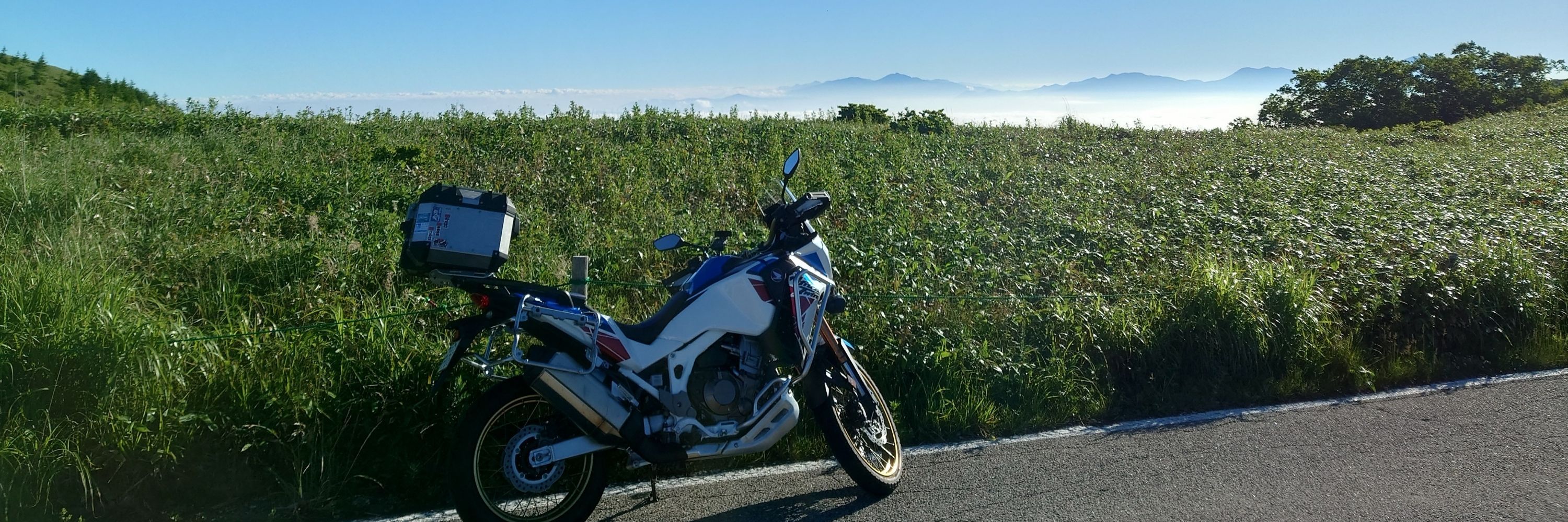 うりぃ