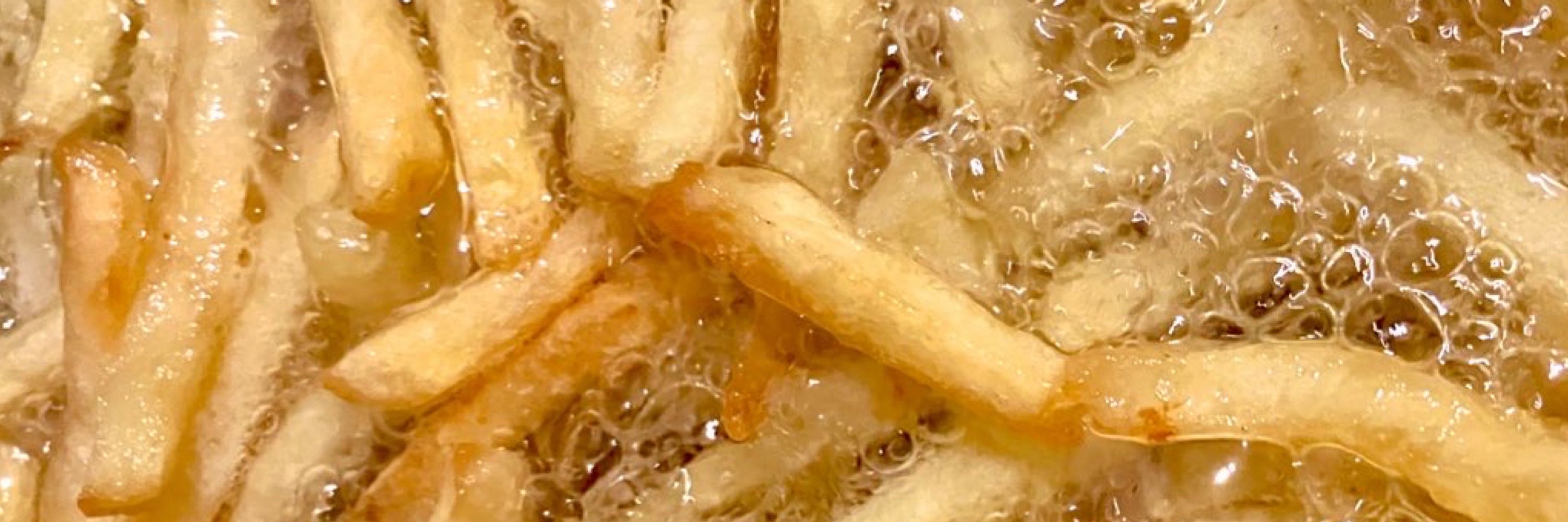 よかじぇ🐶🍟