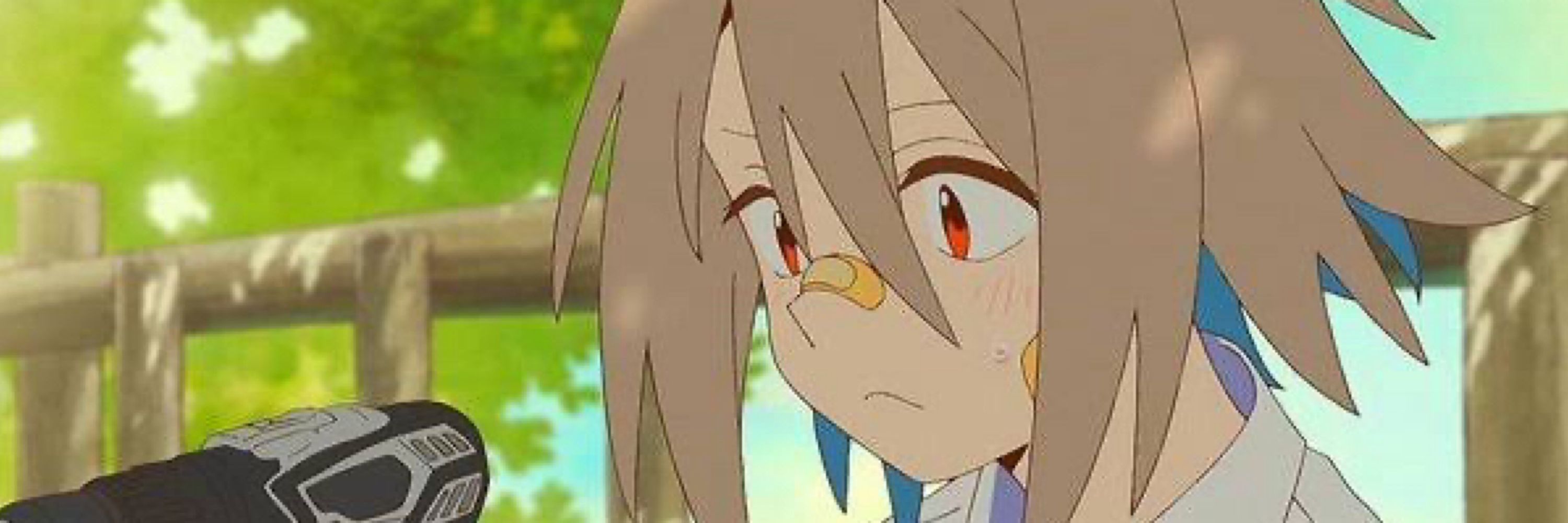 蒲公英