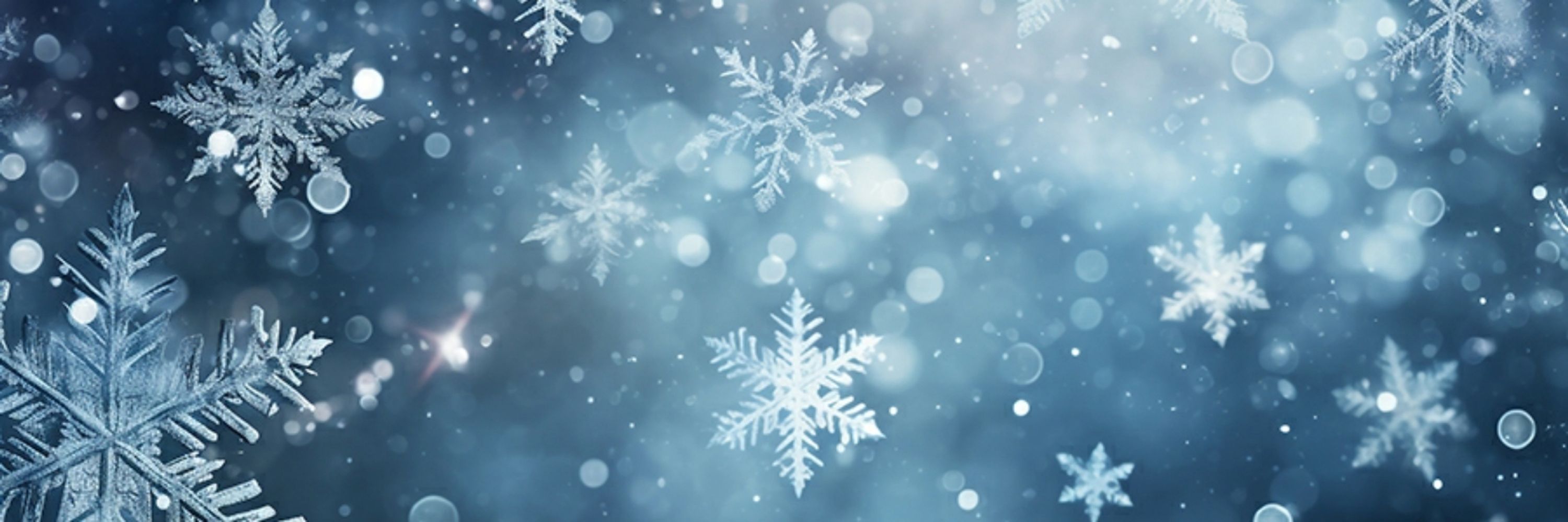 ❄ Leos ❄