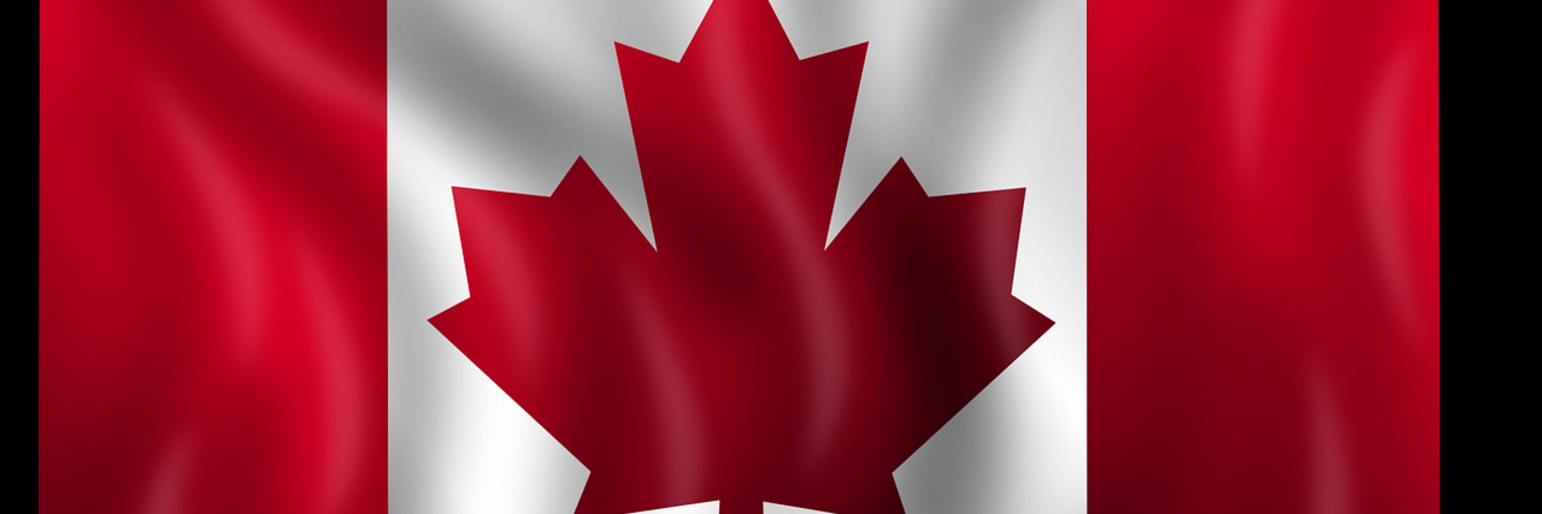 Pat Lee 🇨🇦