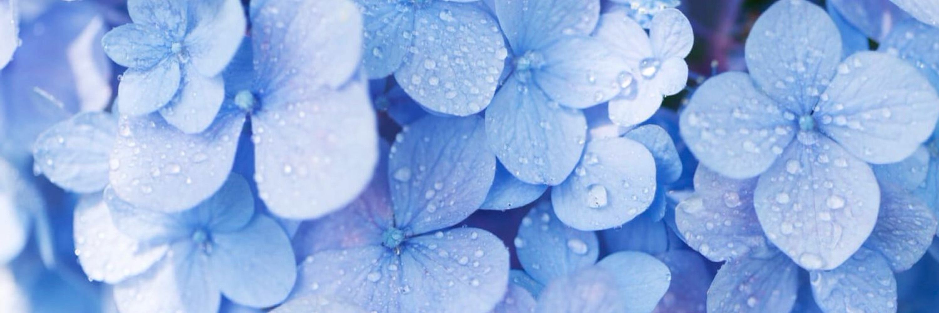 雨