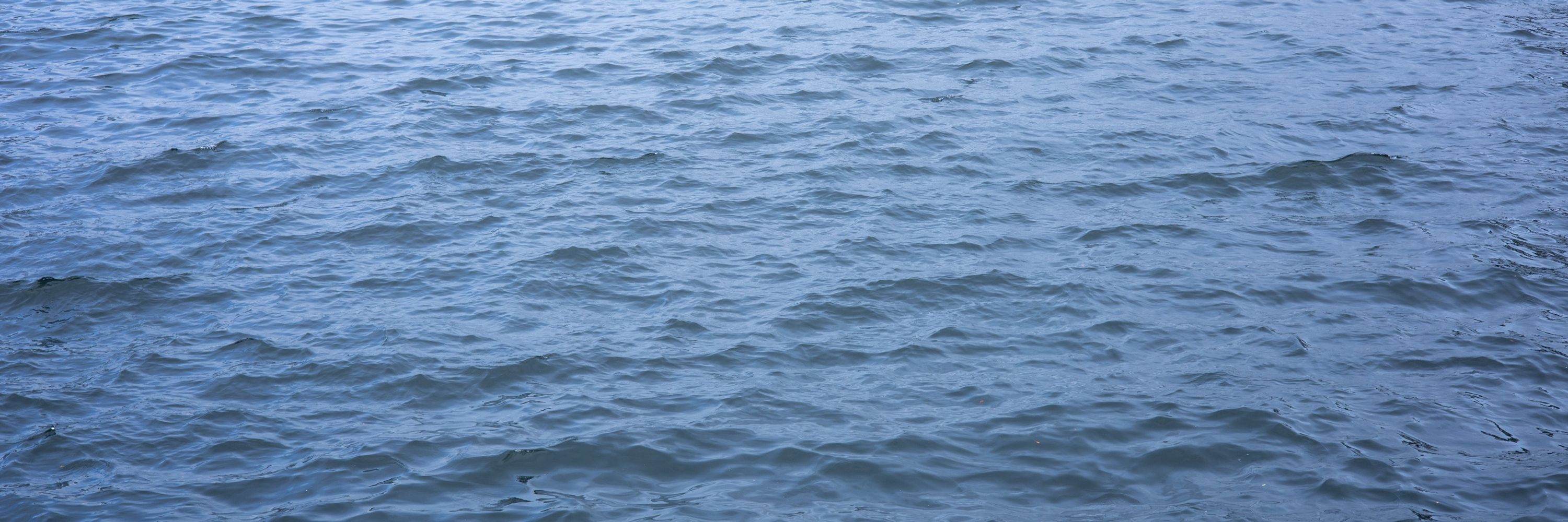 蛋黄流沙包