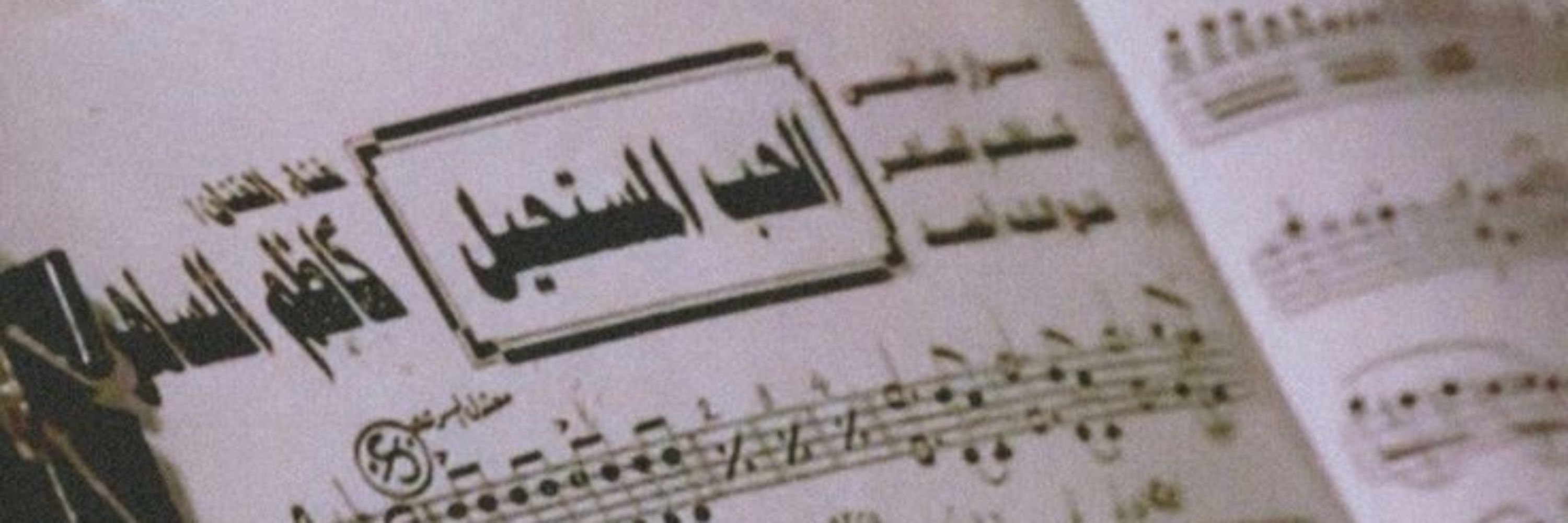 دانيا ⭐