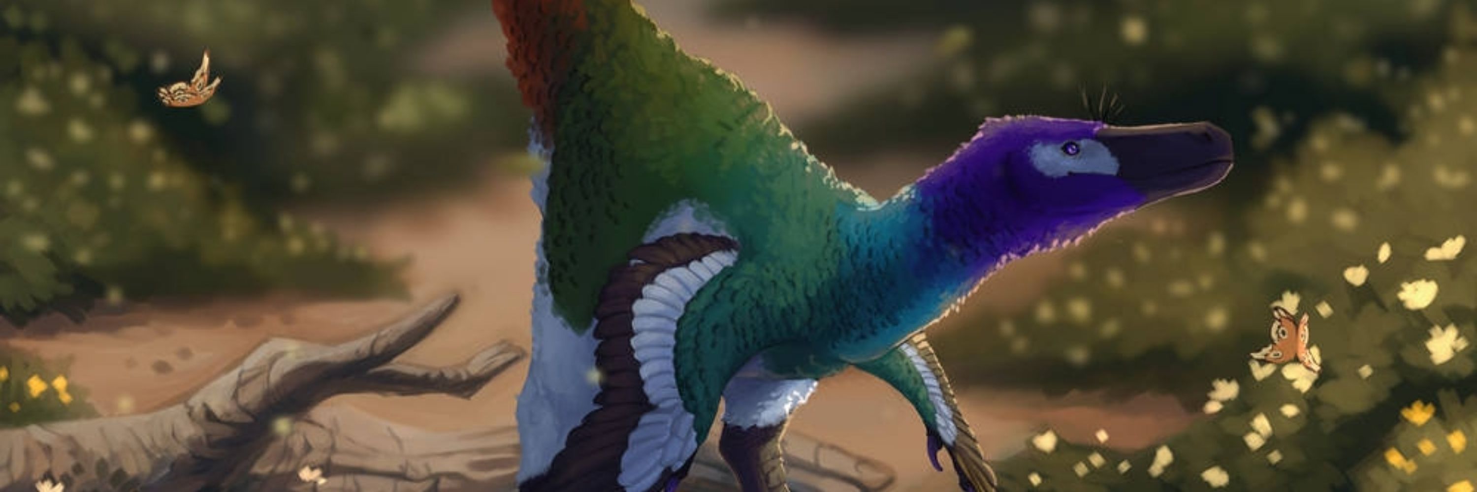 Ellie 🦕🦖