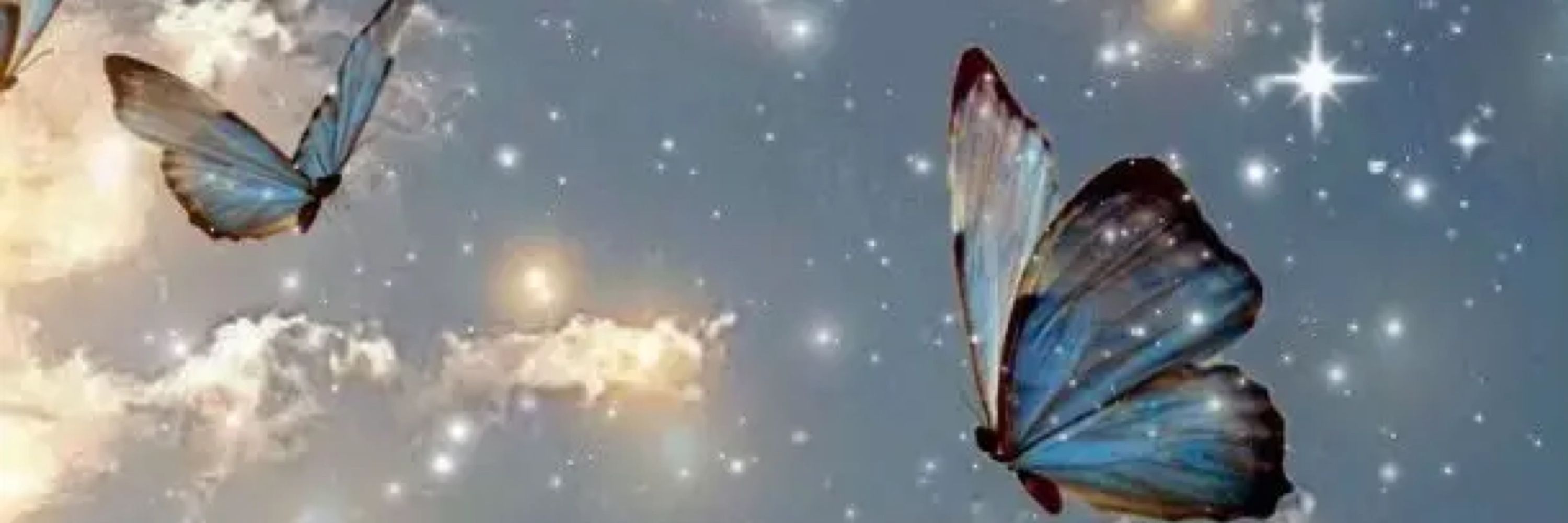 AuraSims🦋