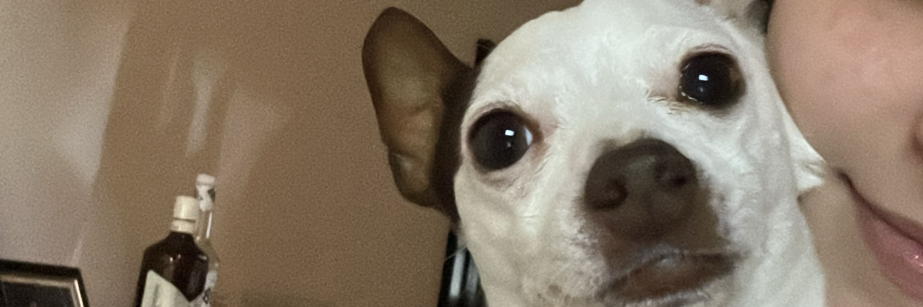 verô