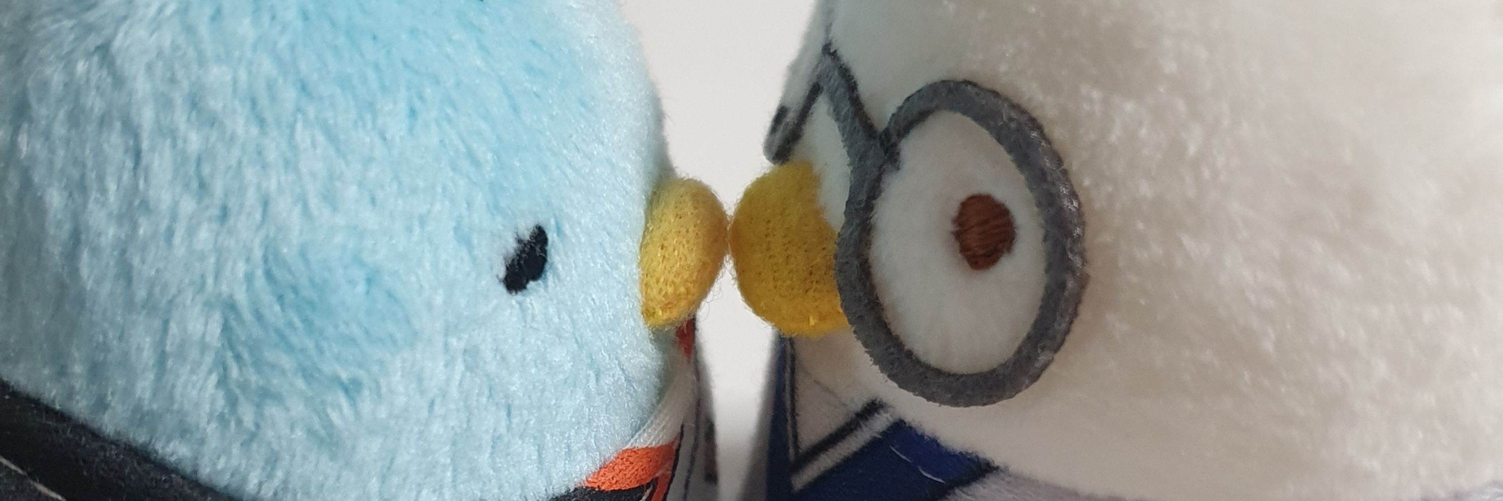84