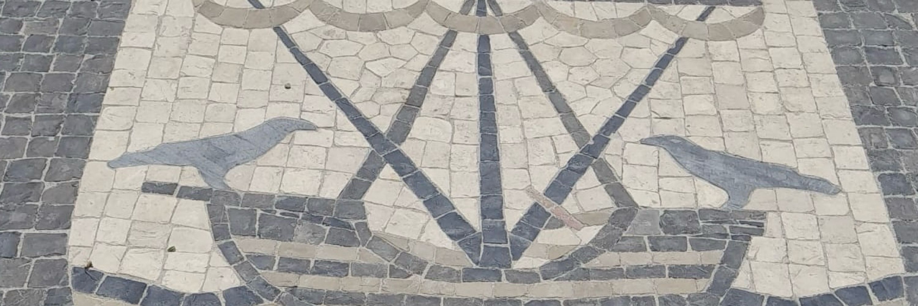 𓆠