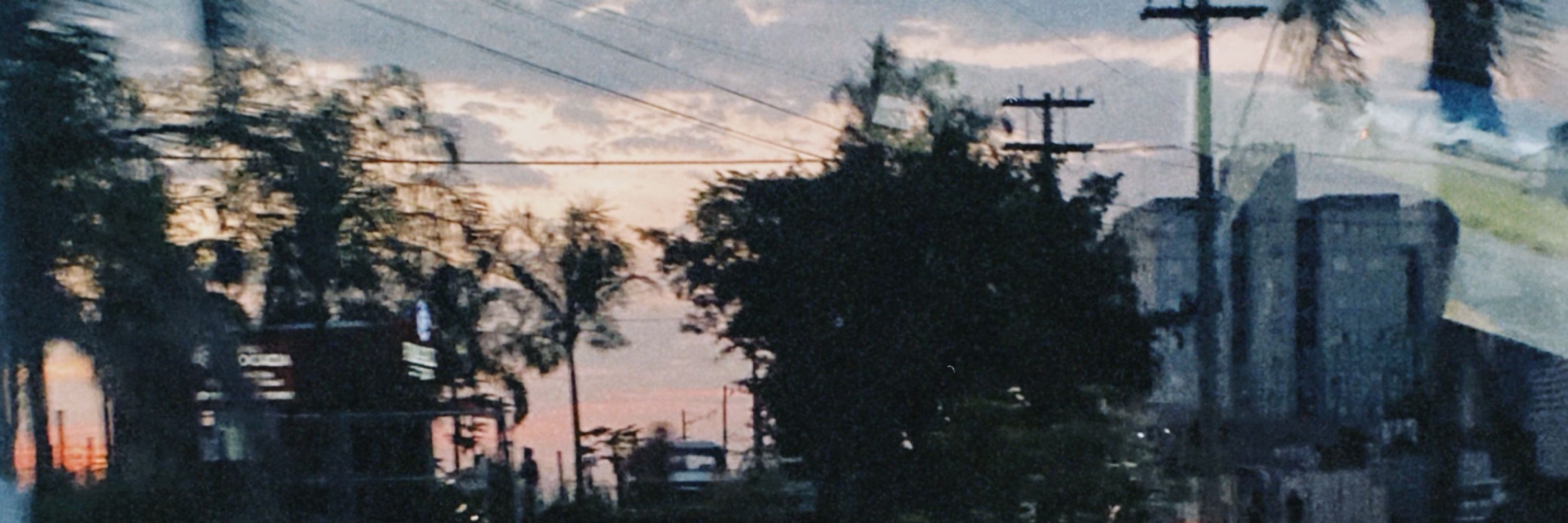 vivictoria