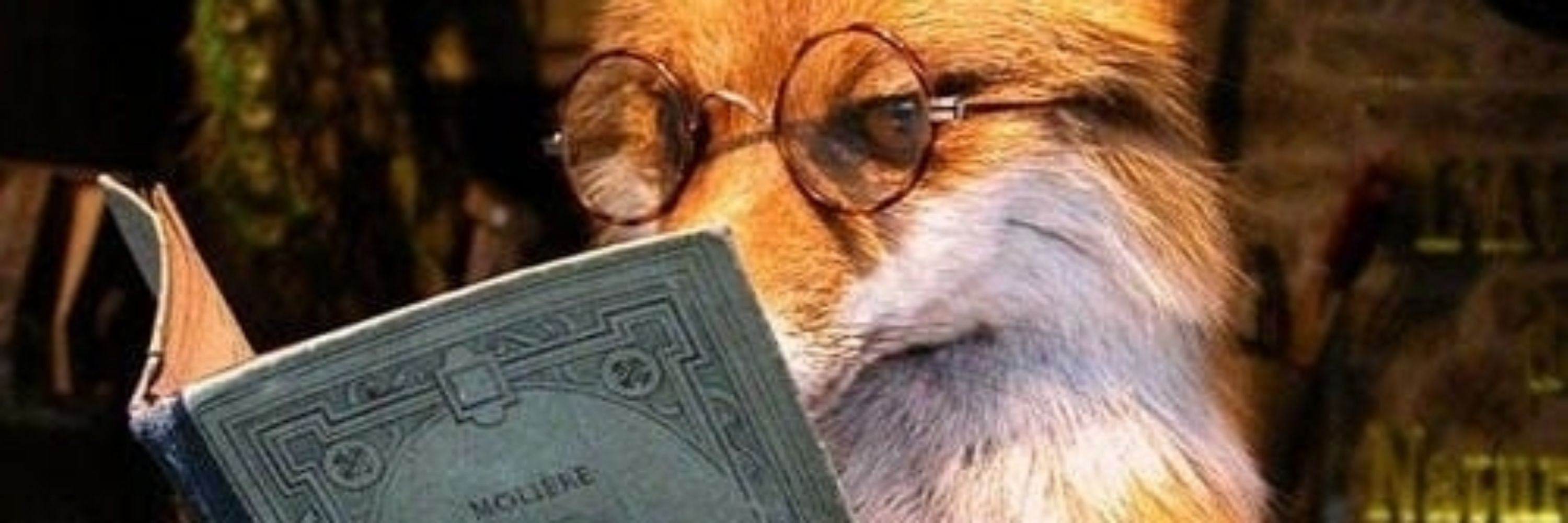 Elizabeth Fox🦊📚