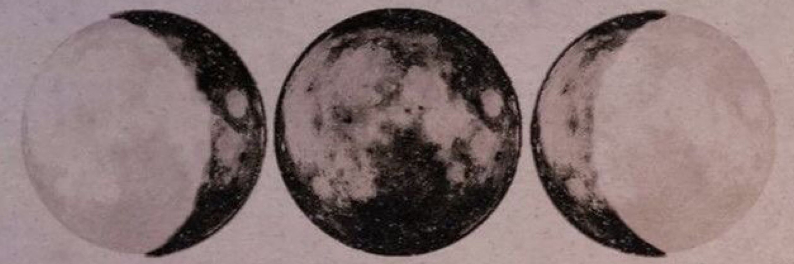 L.