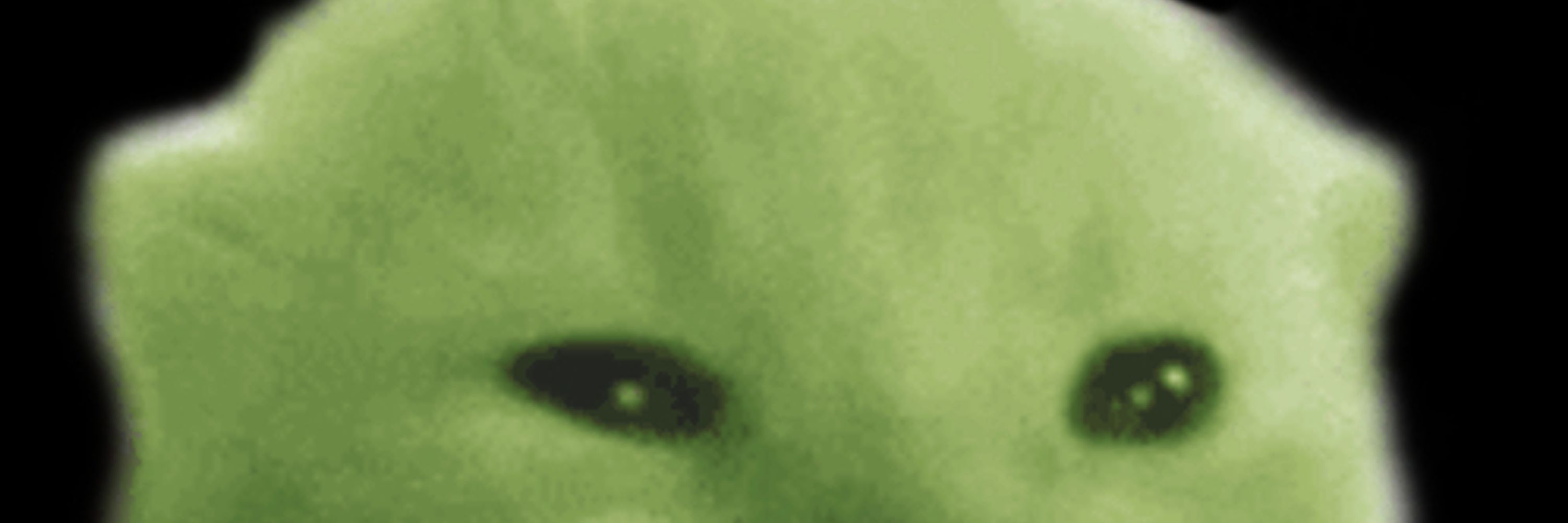 glorp