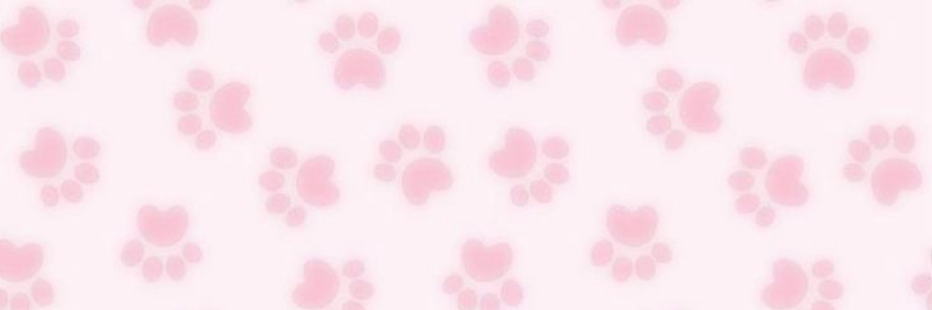 olive :3