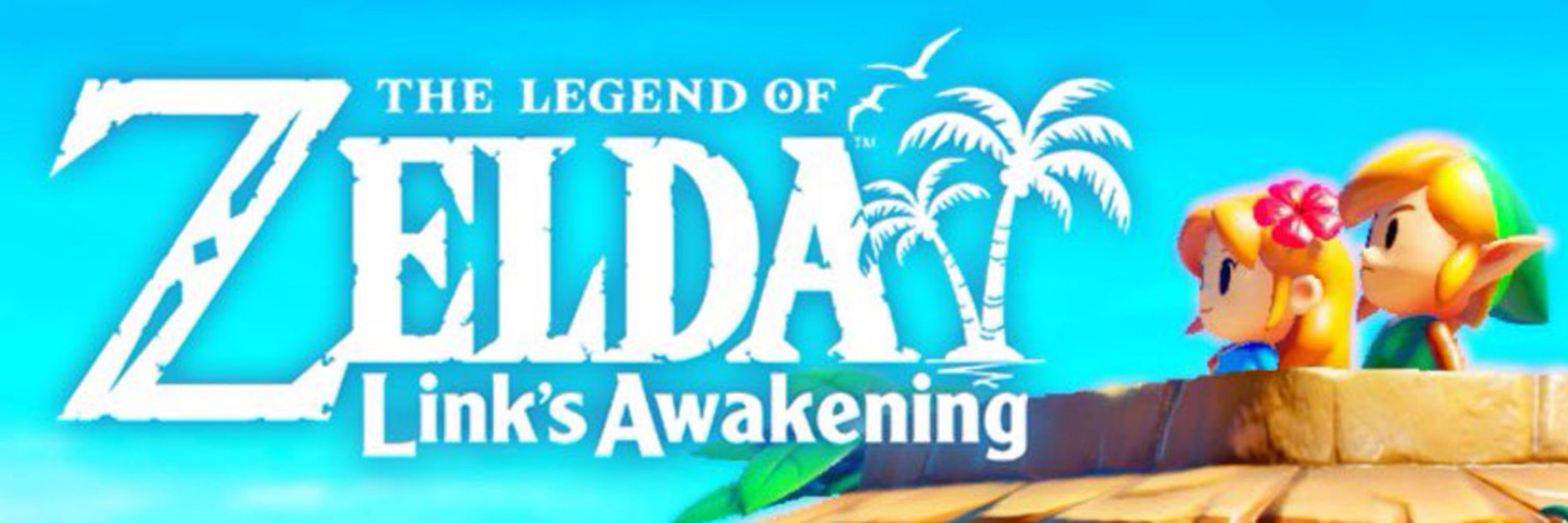▲ sammy rae ▲ CEO of Link's Awakening