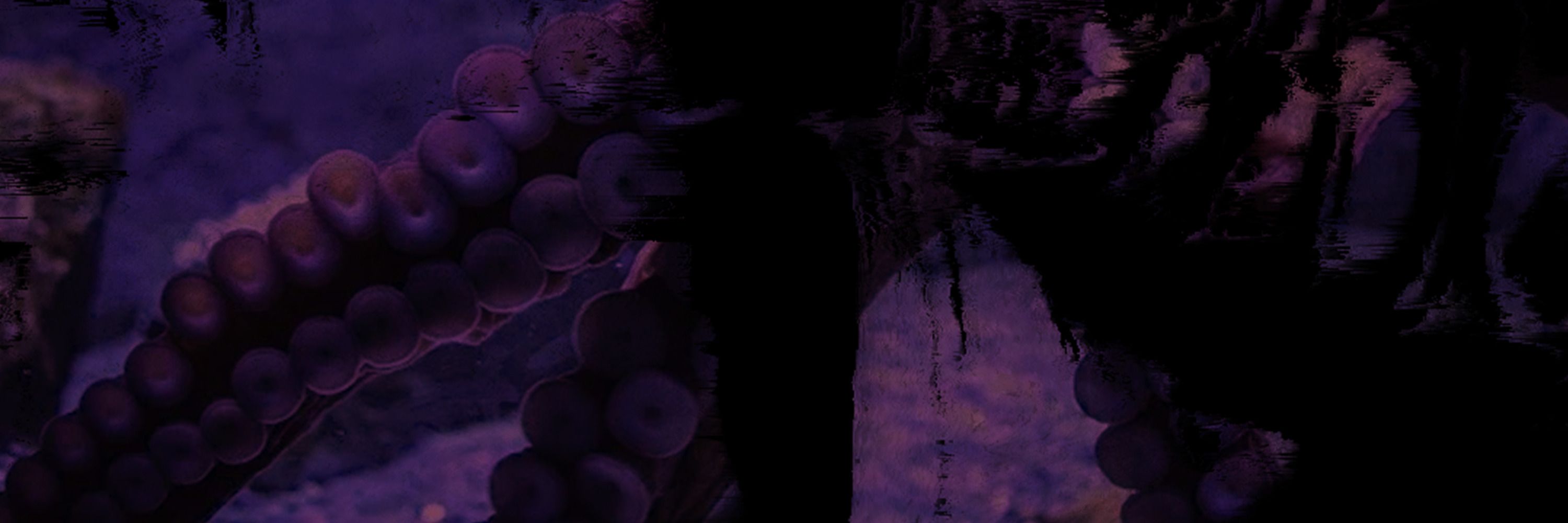 𝕳𝖊𝖝𝖞𝖓🦑