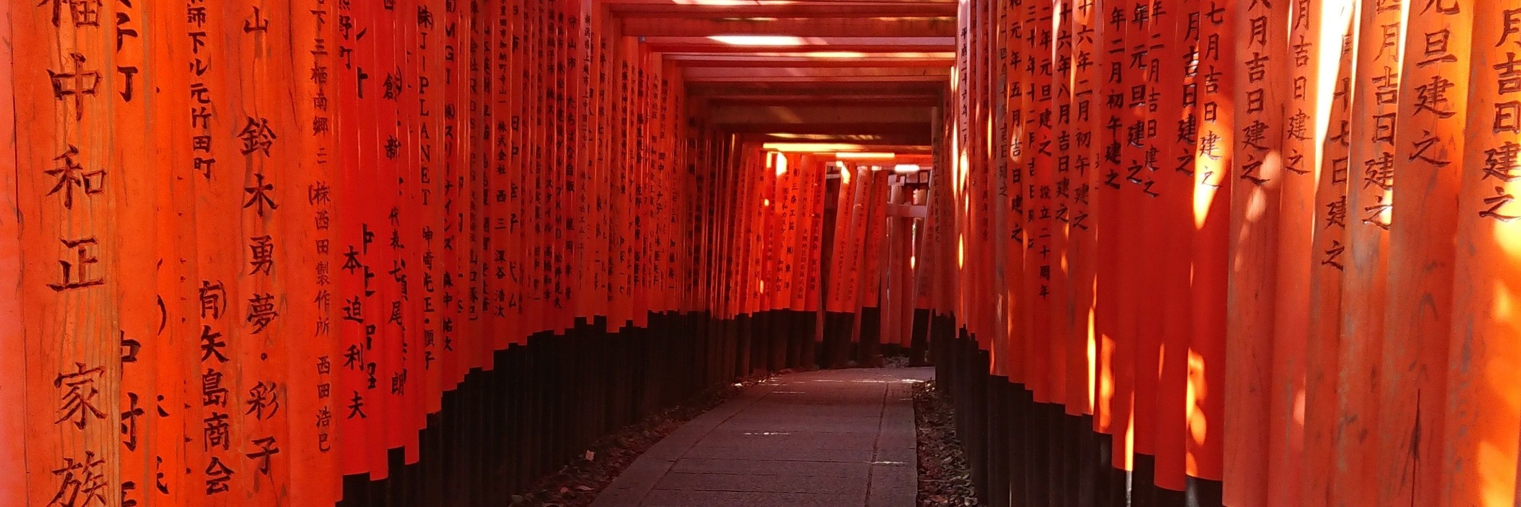八雲 文