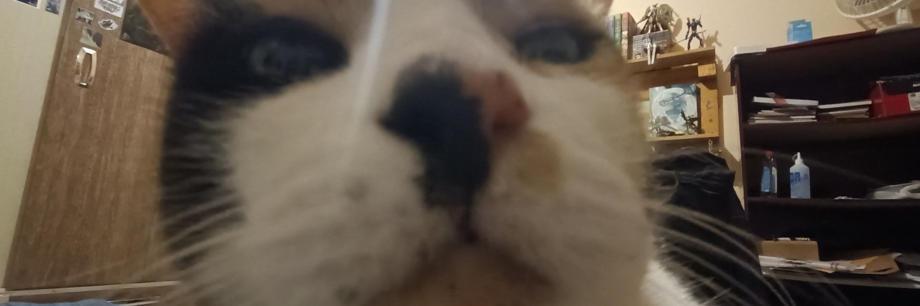 𝔪𝔢𝔨𝔩𝔢𝔯