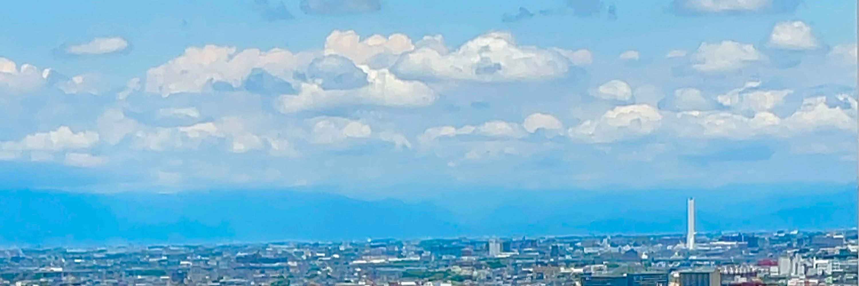 四畳鮃/ひのめ