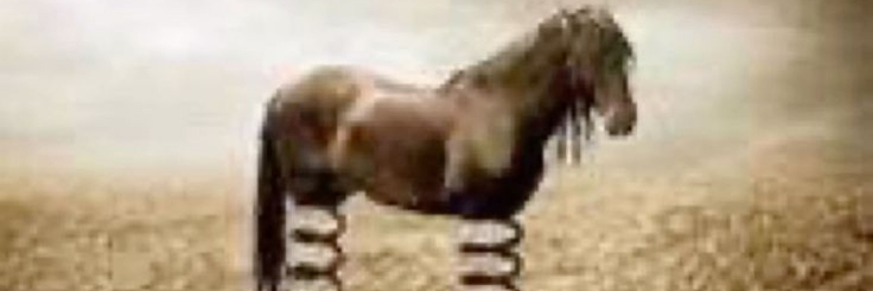 Akirapolarbear