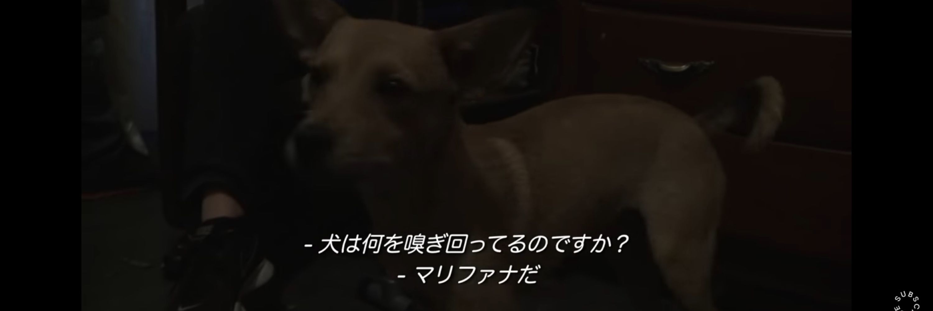 わっぴー