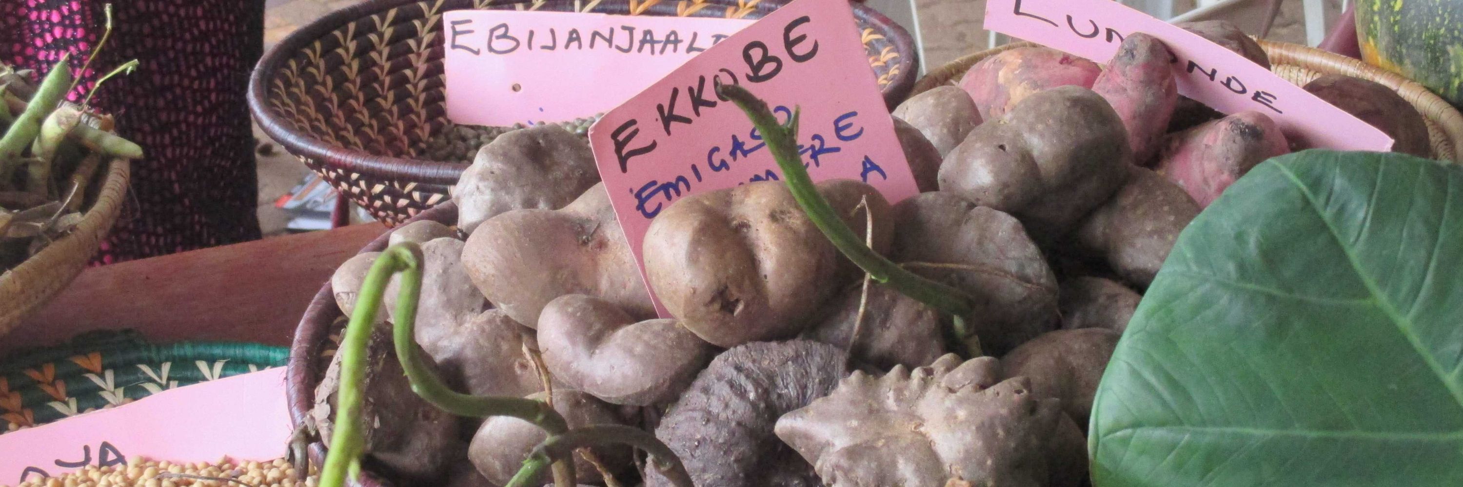 Kimbowa Richard