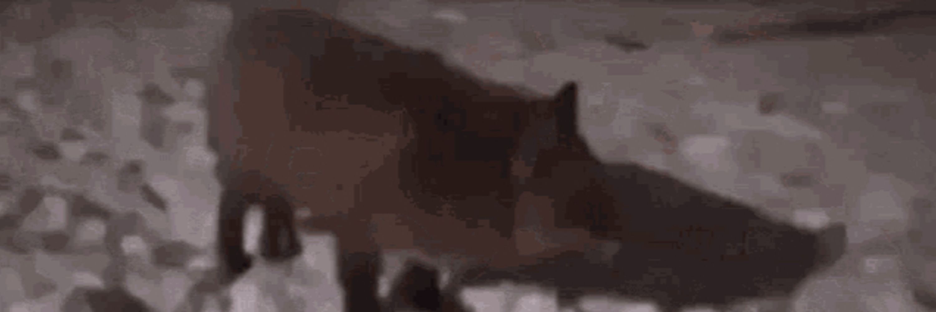 CrouchingCC