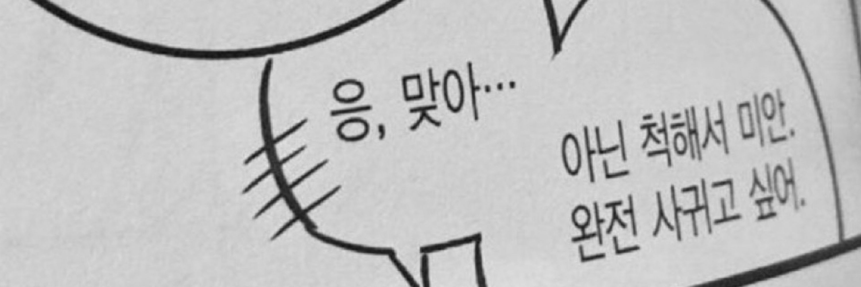 소원시남미새 (진)
