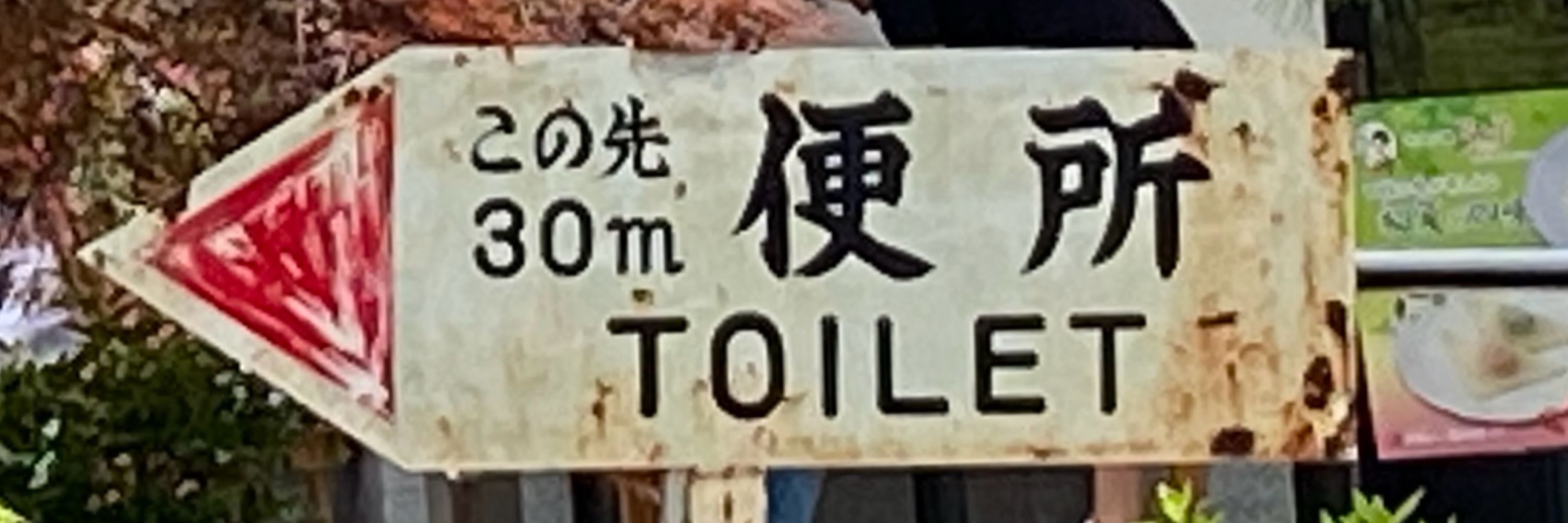 💃便器🕺