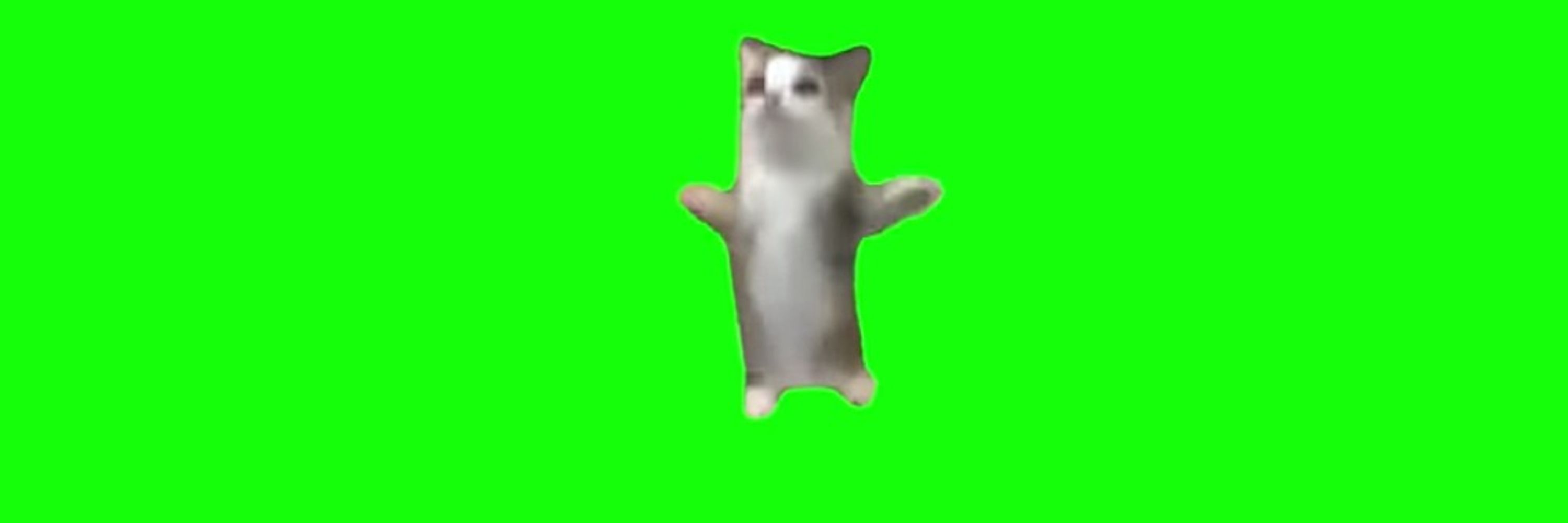 ぢゅりん