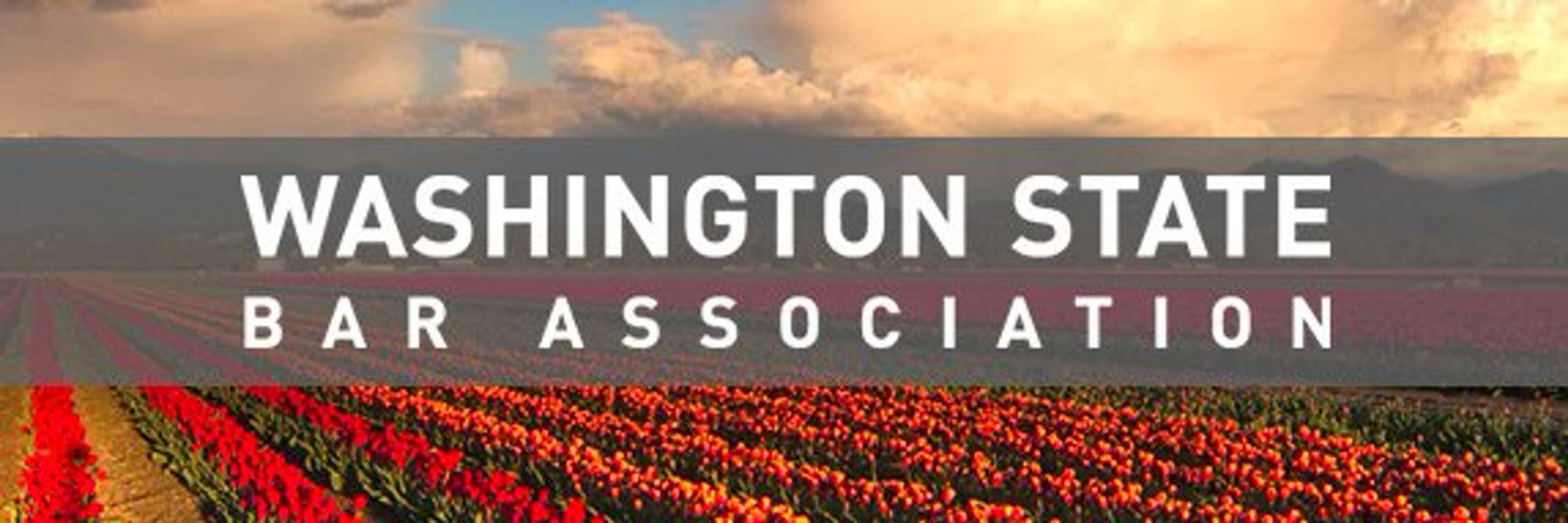Washington State Bar Association 