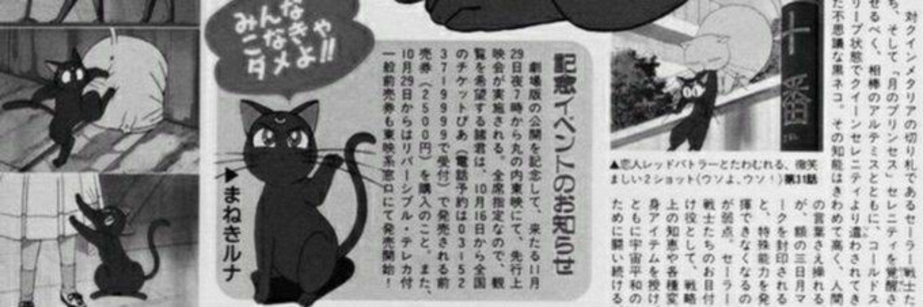 Nekito_Komori