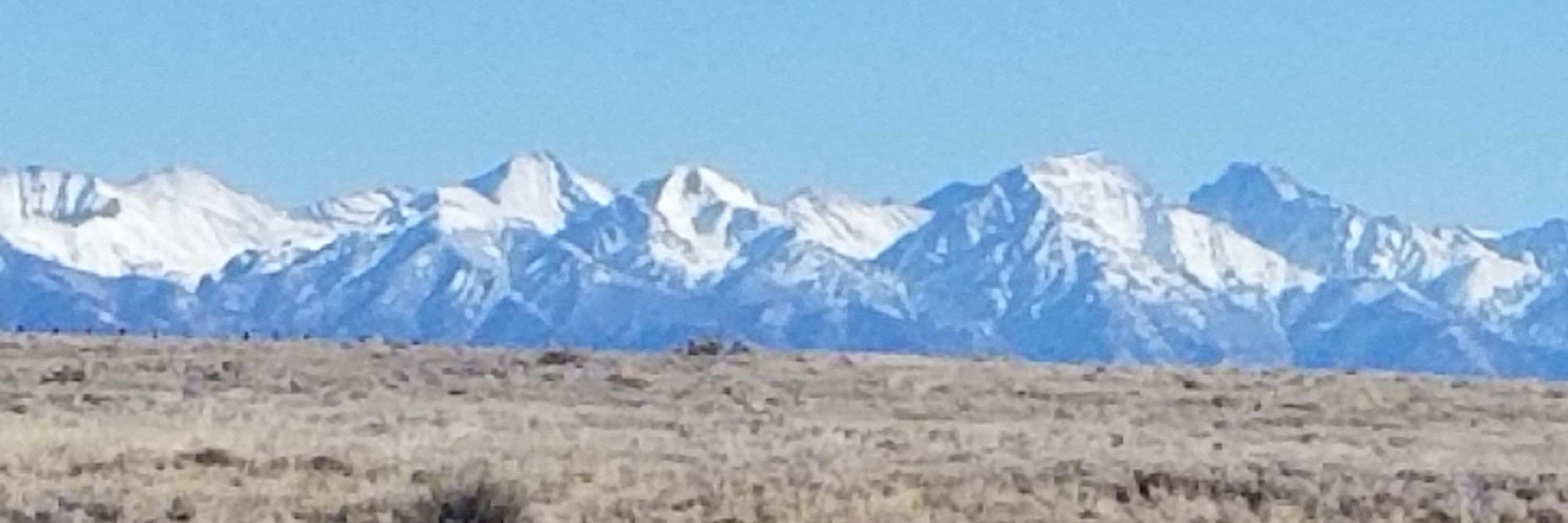 Mountain Mama