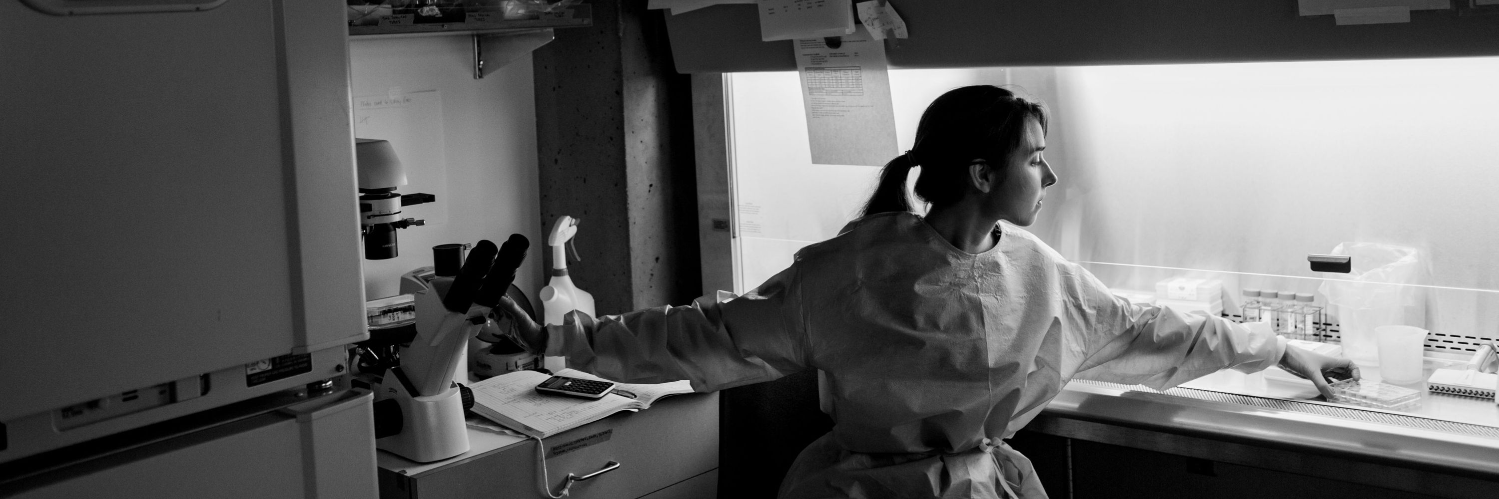 SFU Faculty of Health Sciences