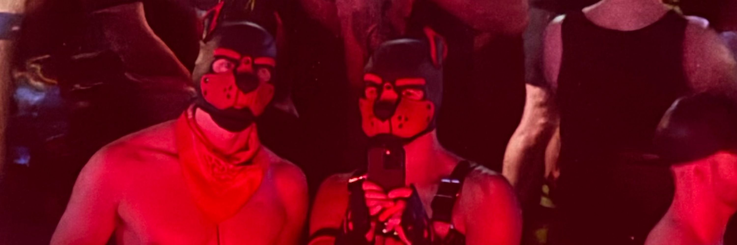 Pup Dekker