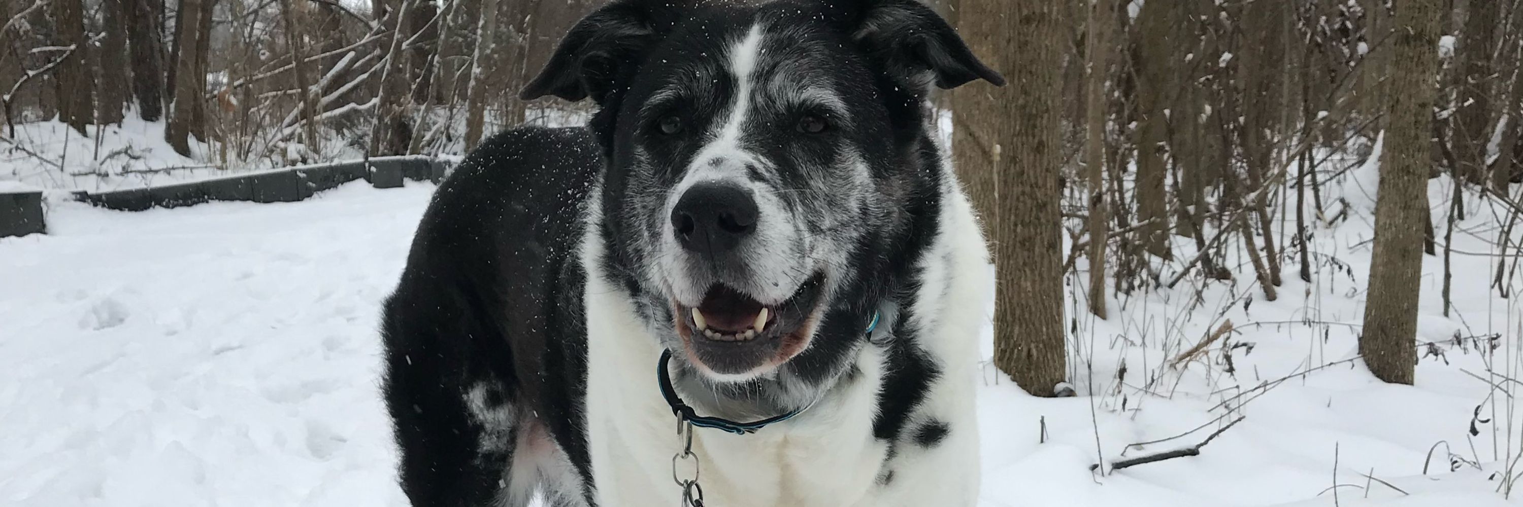 Julie