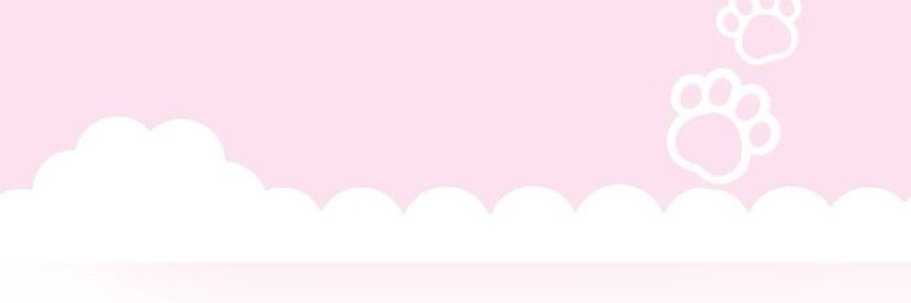 v 🎀