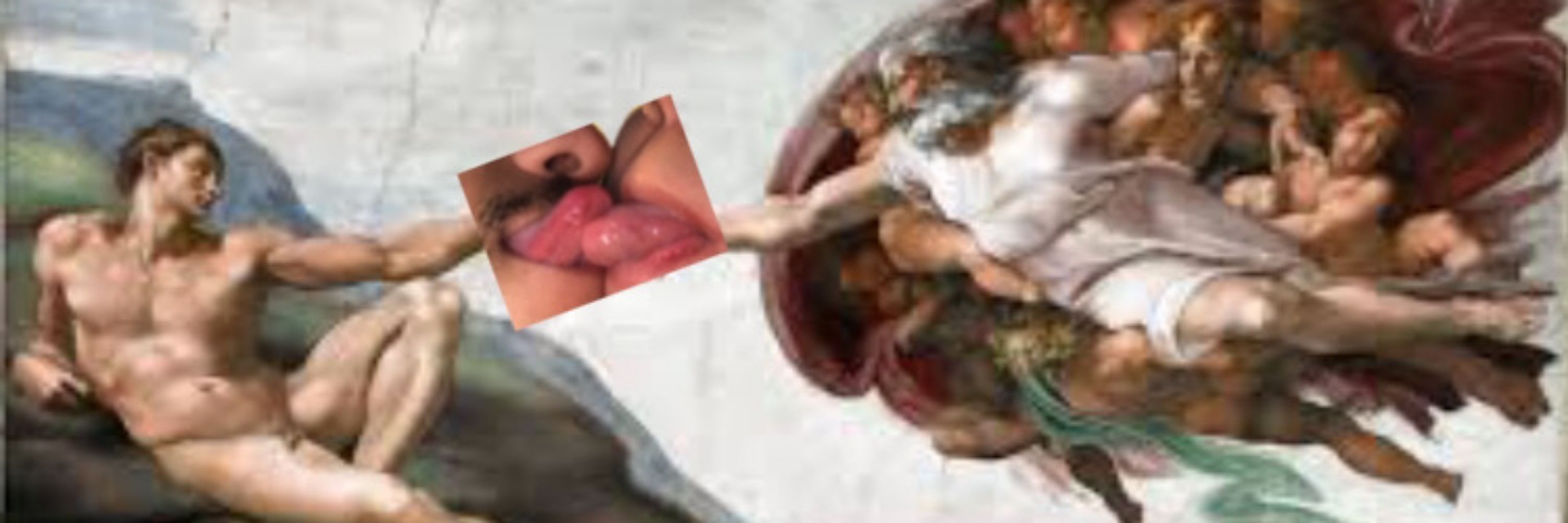 nicorobin