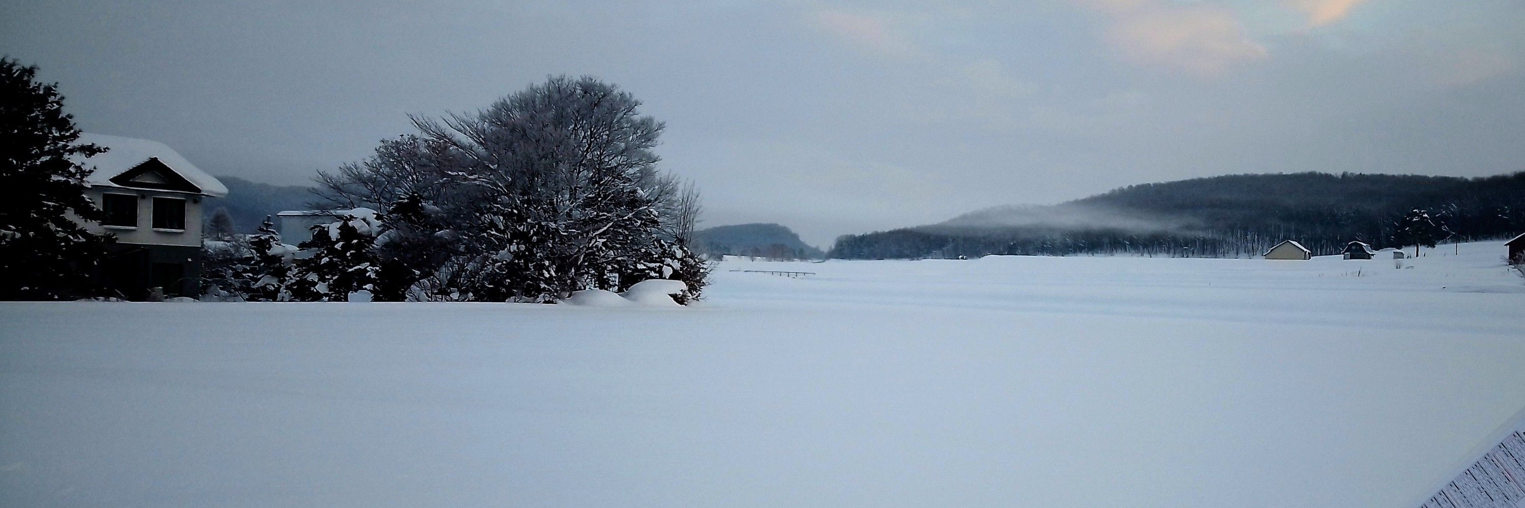 雪原