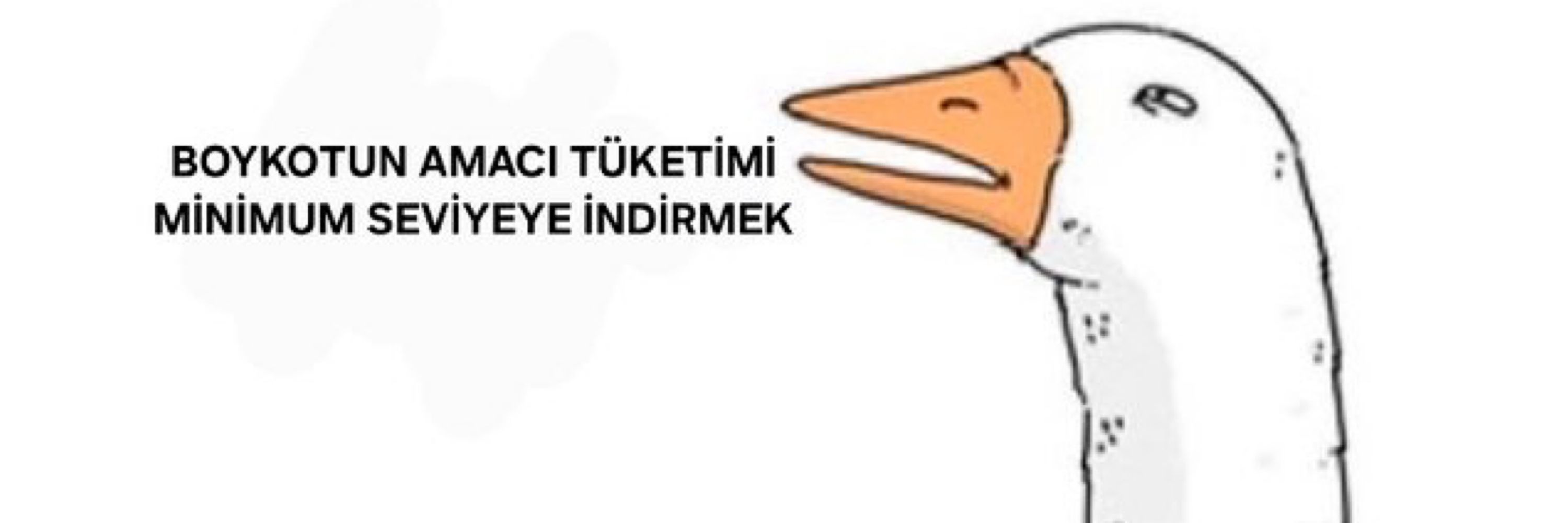 Baltacilhan
