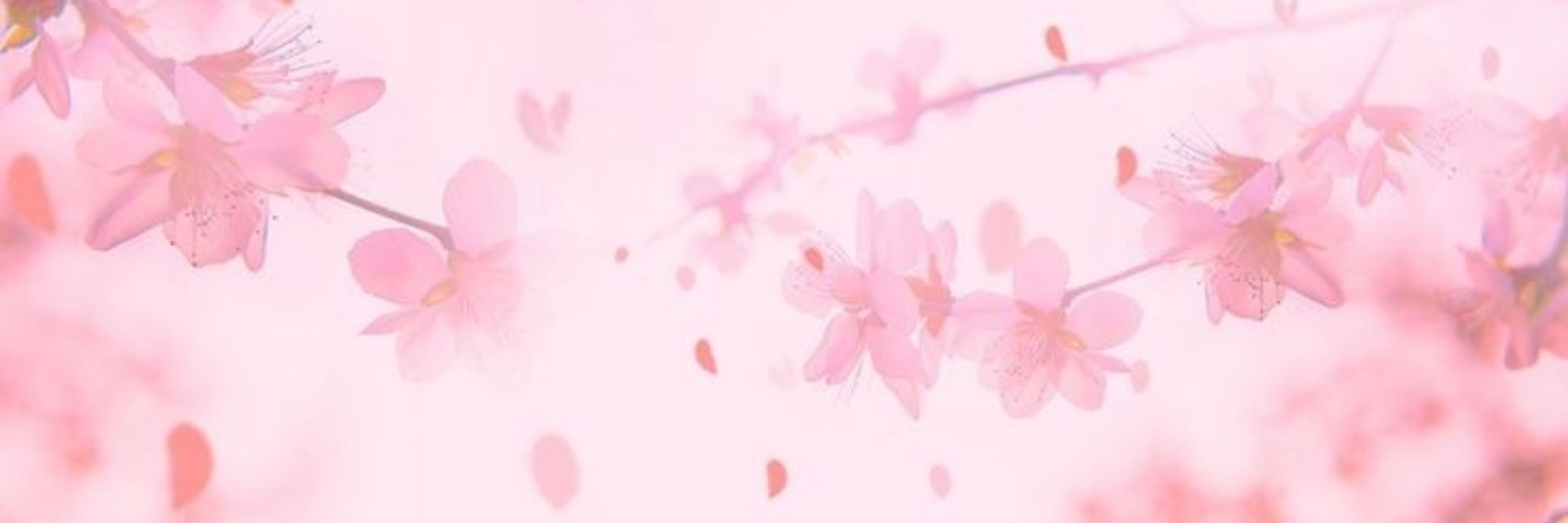 Hatsune Miku, só que cereja 