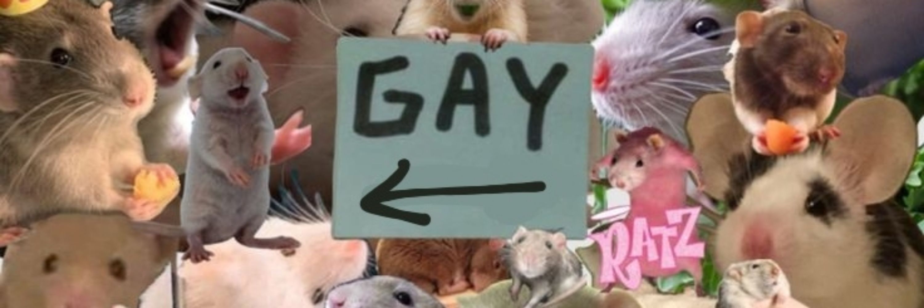 Alex o Rato? 