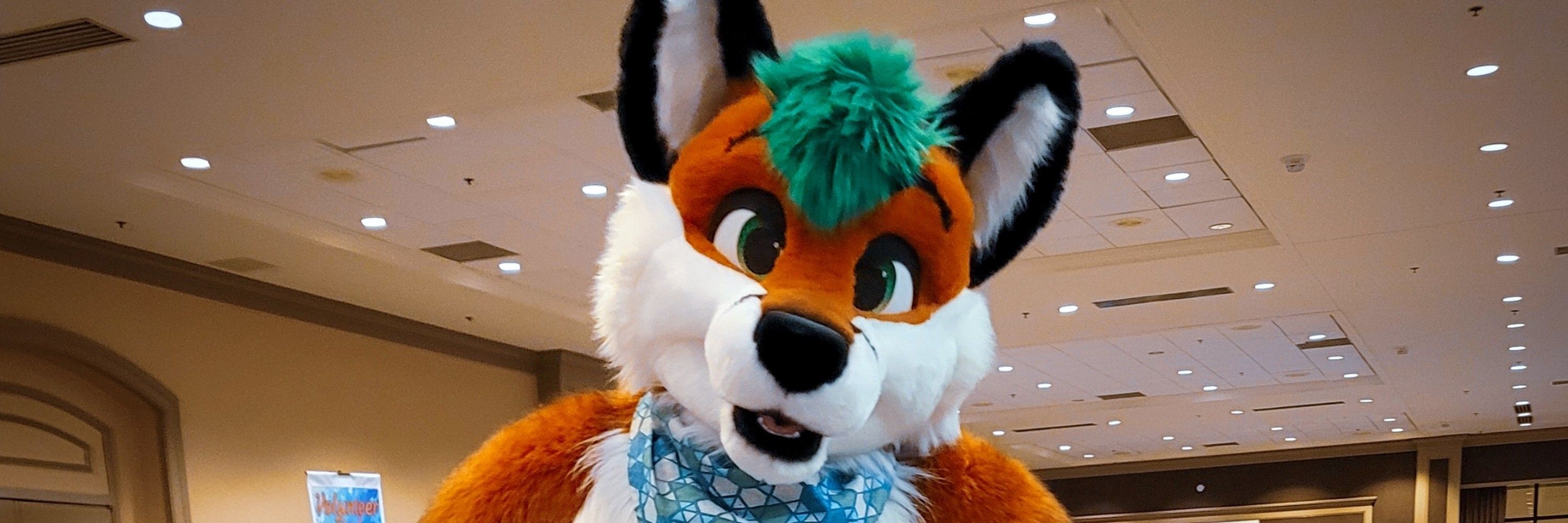 Barton Fox 🔜 FWA
