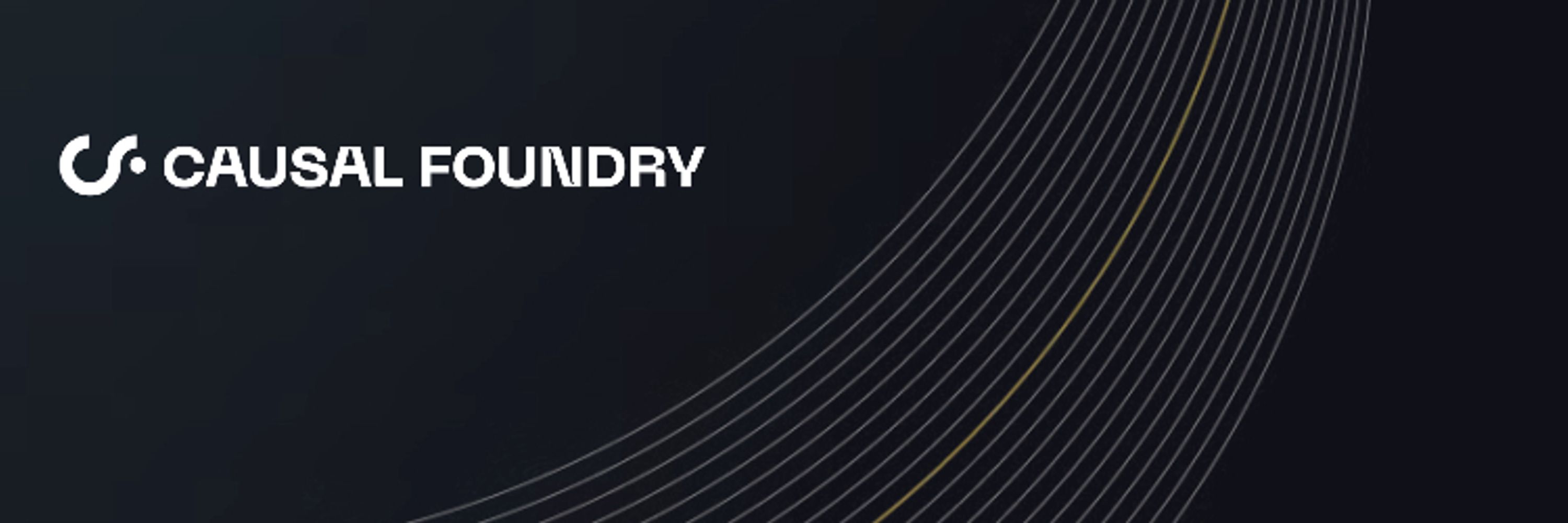 Causal Foundry