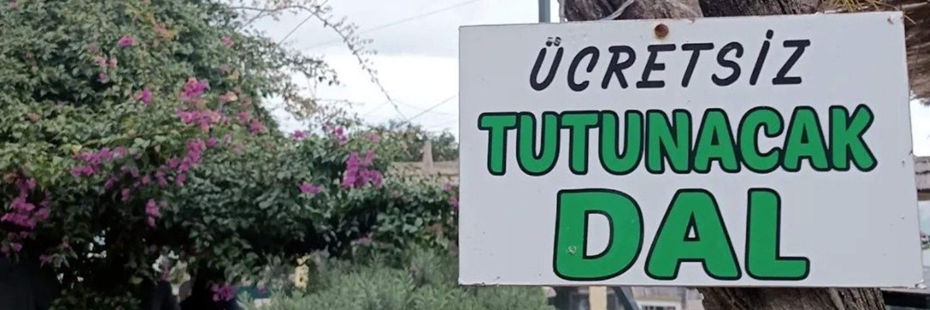tuğçe